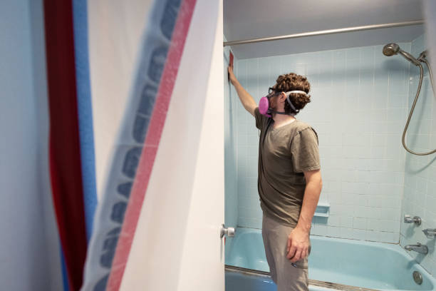 Best Mold Damage Restoration  in Owosso, MI