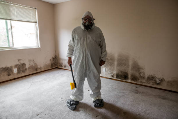 Best Airborne Mold Testing  in Owosso, MI