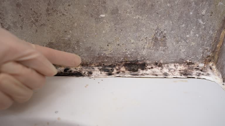 Best Indoor Air Quality Assessment  in Owosso, MI
